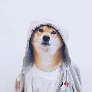 乐子人。