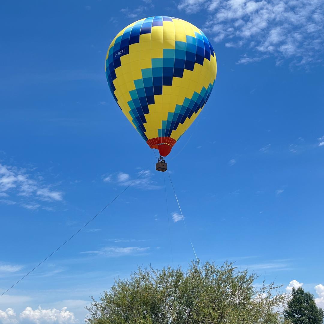 爱老虎油🐯🐯