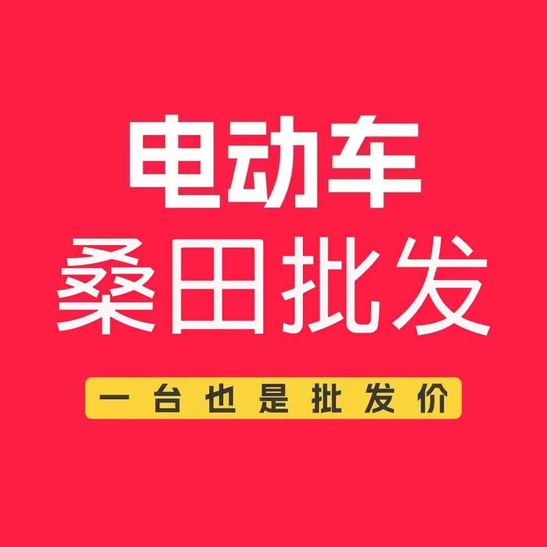 桑田-电动车批发零售