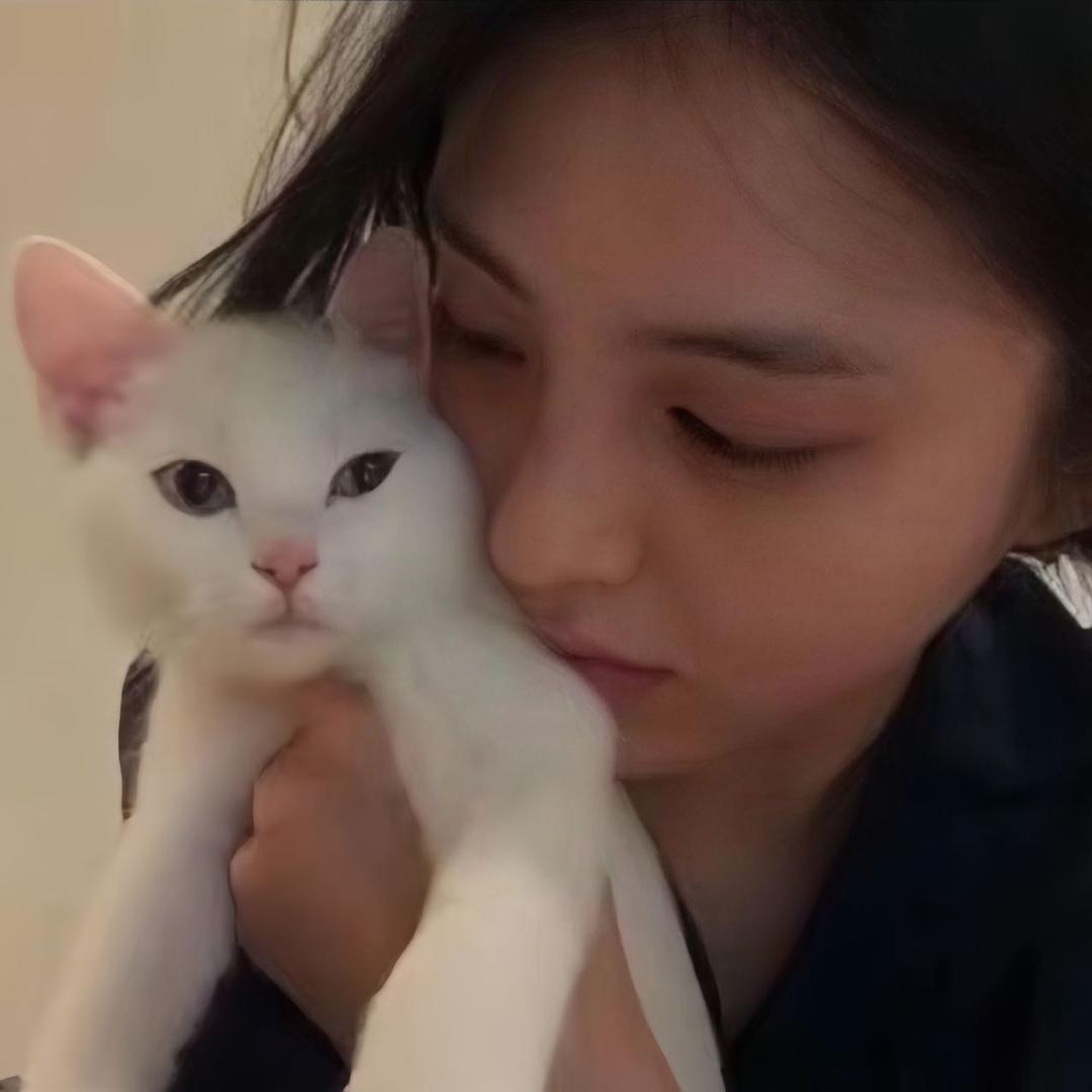 睡不醒𝙯ᙆ