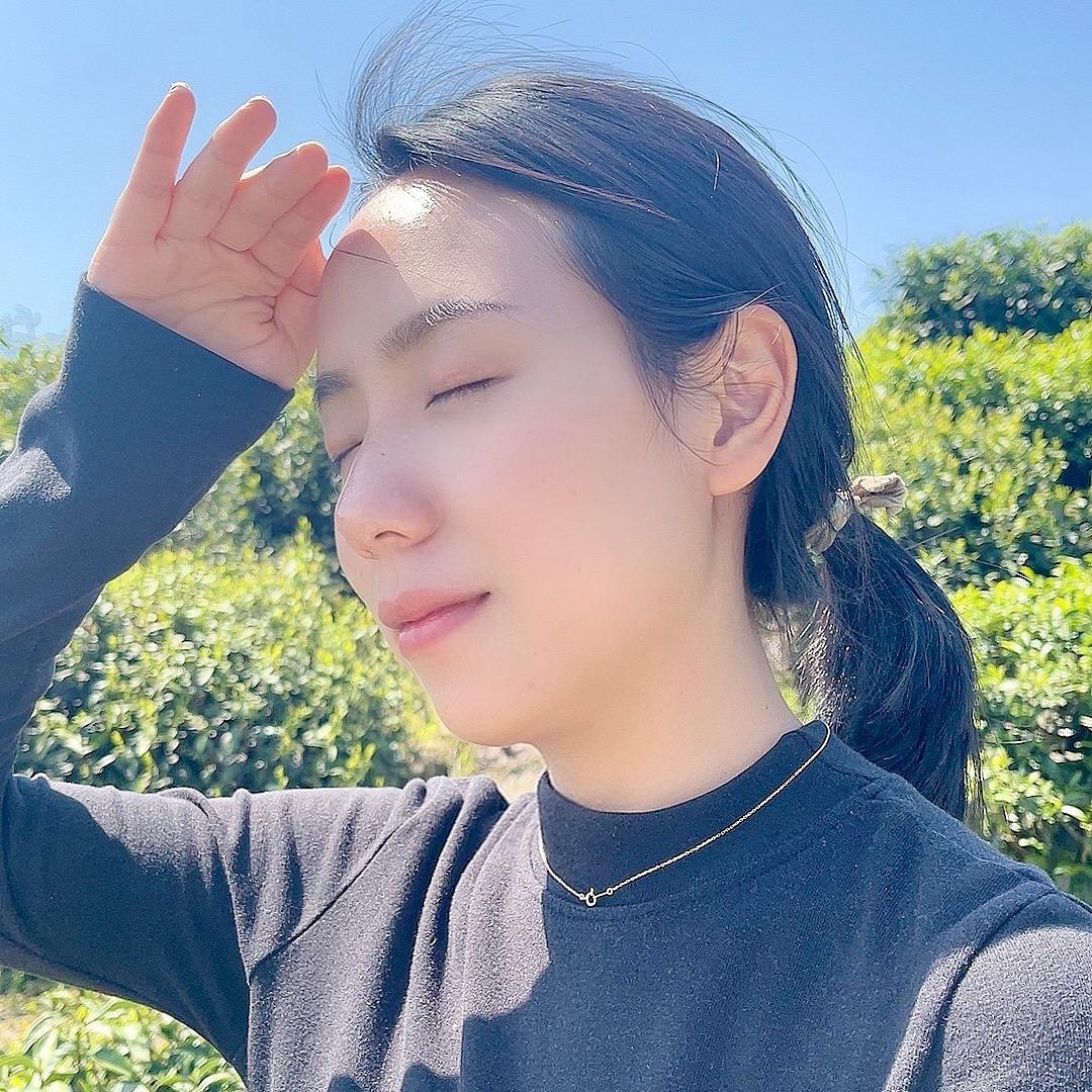 小叶茶三代