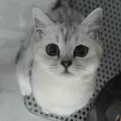小点