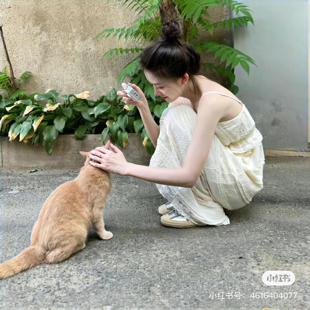 芋崽（养成系）