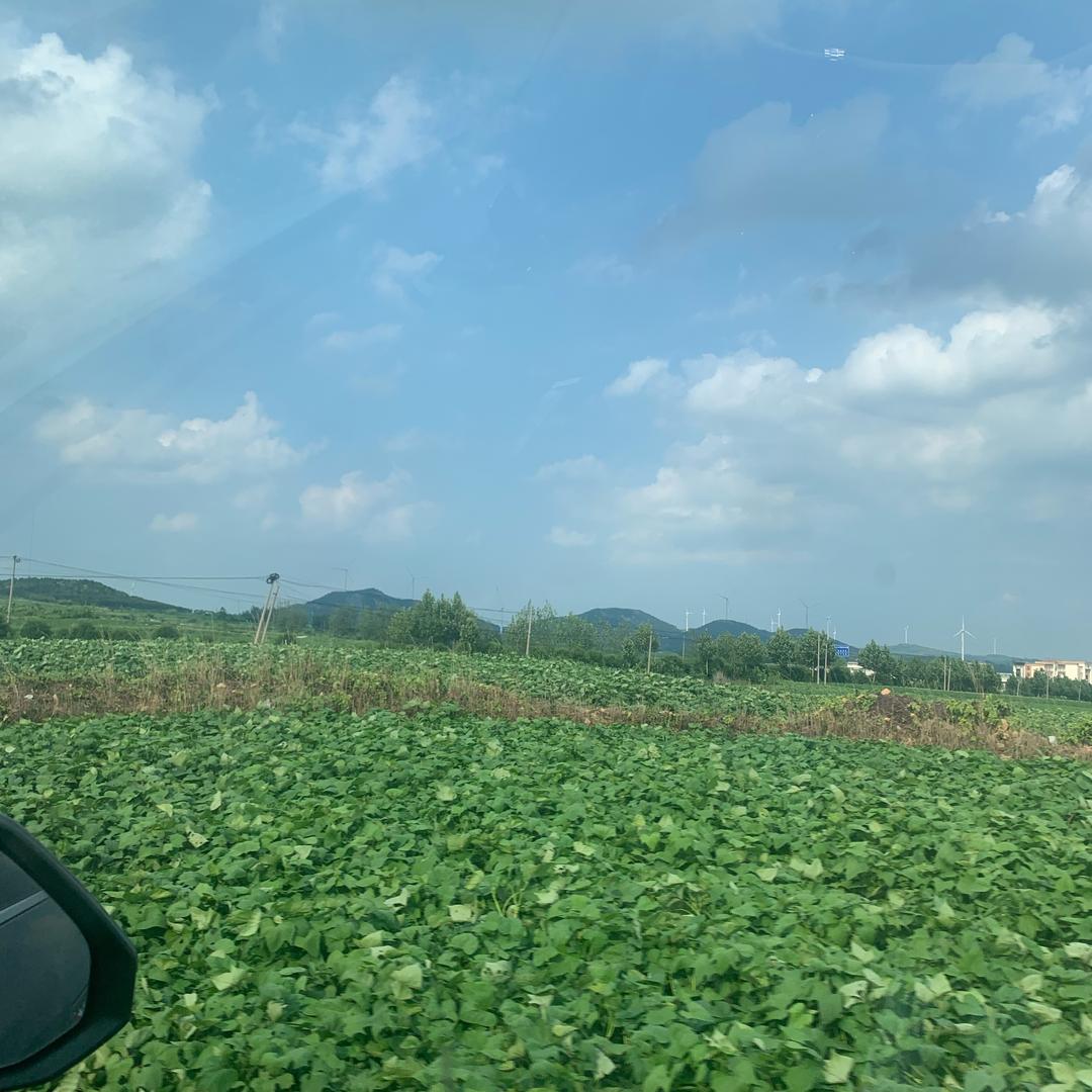 速达生鲜