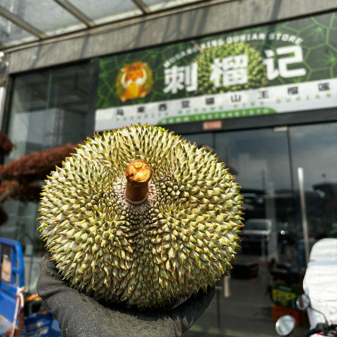 刺榴记江南市场店榴莲供应链