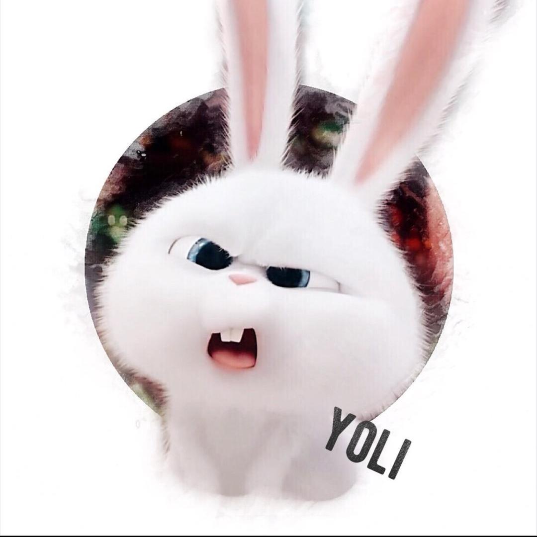 噼里啪啦超级无敌冲天鬏