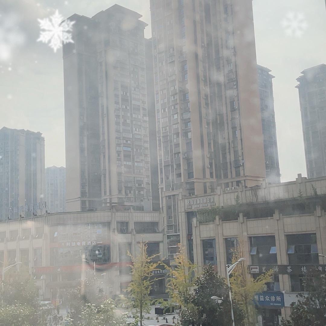 乘风破浪会有时