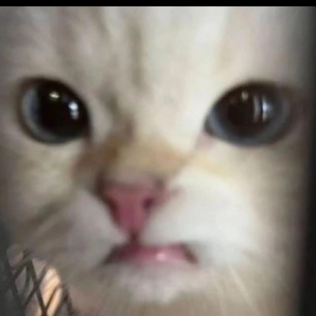 小辣