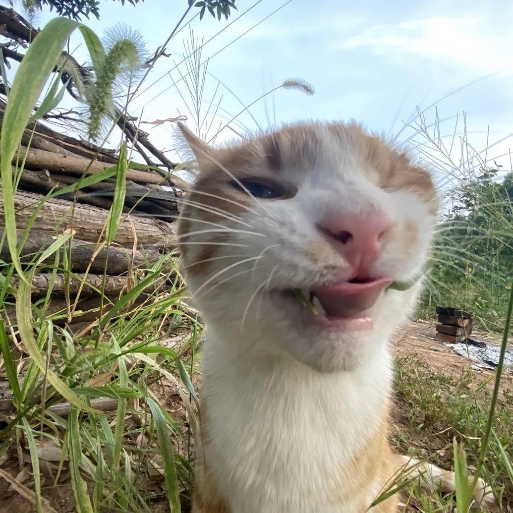 颤抖吧！贝利亚回来啦