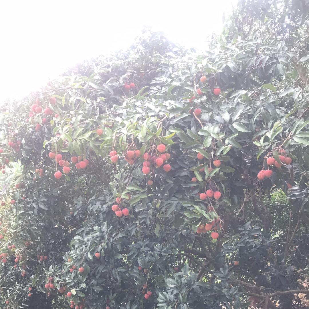 湖光山色♪─♪