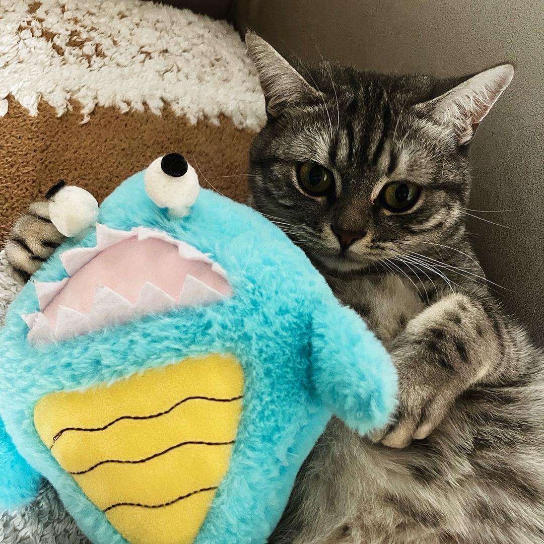 三分糖奶绿少冰