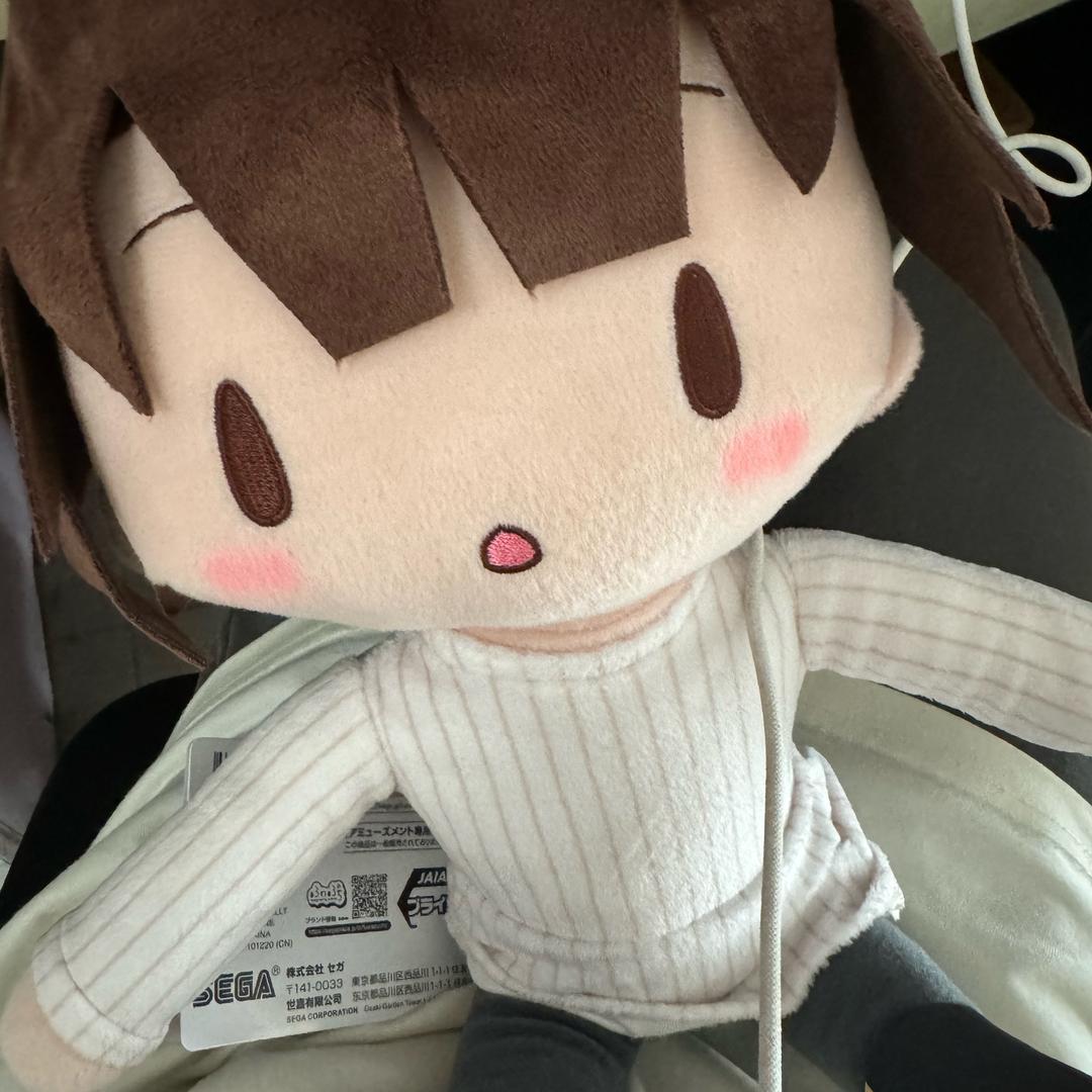 寻找一只羊