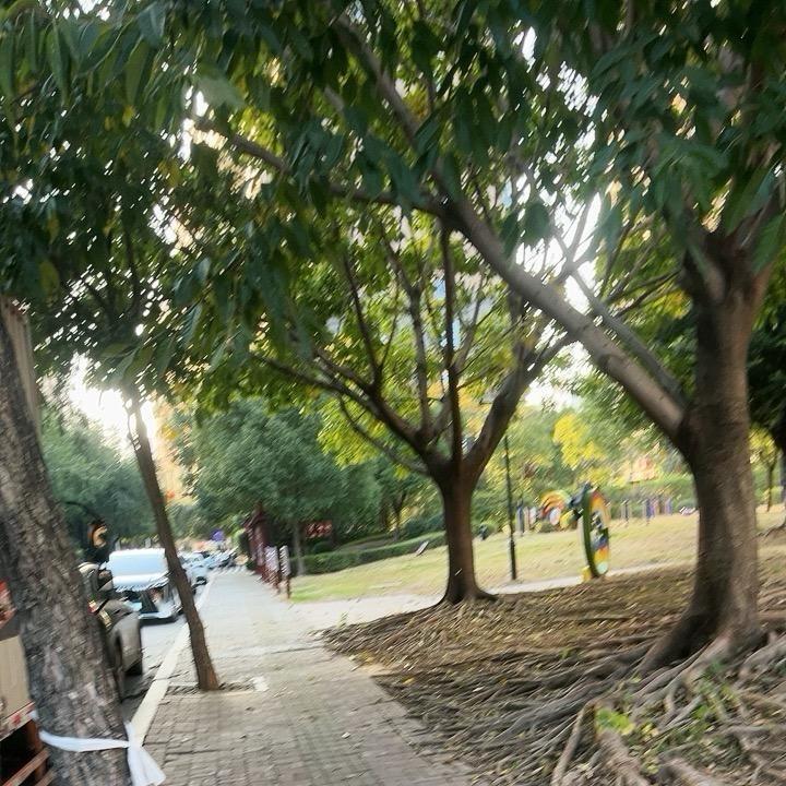 梦想成真