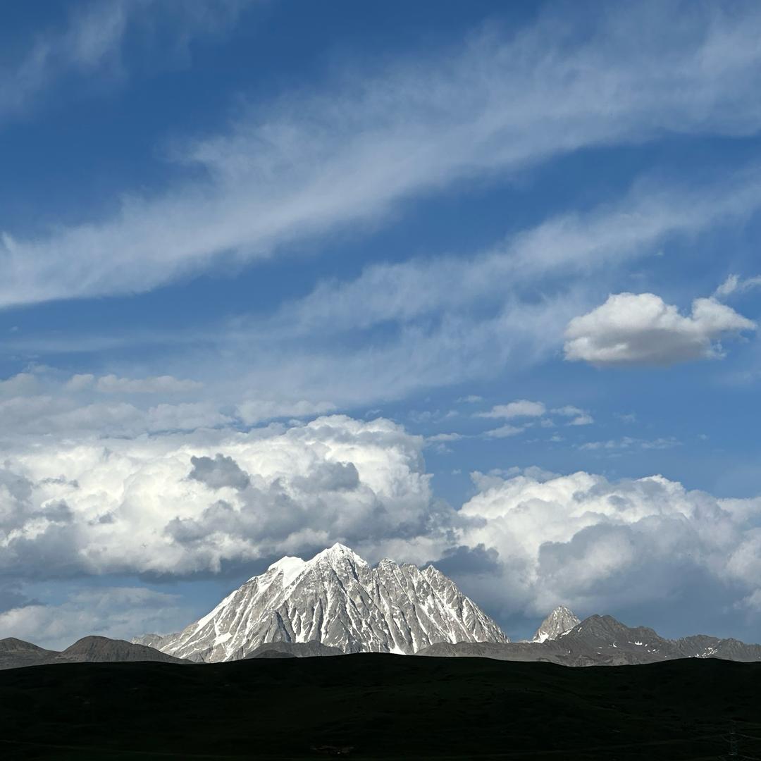 🌼&花开富贵🌼🌼