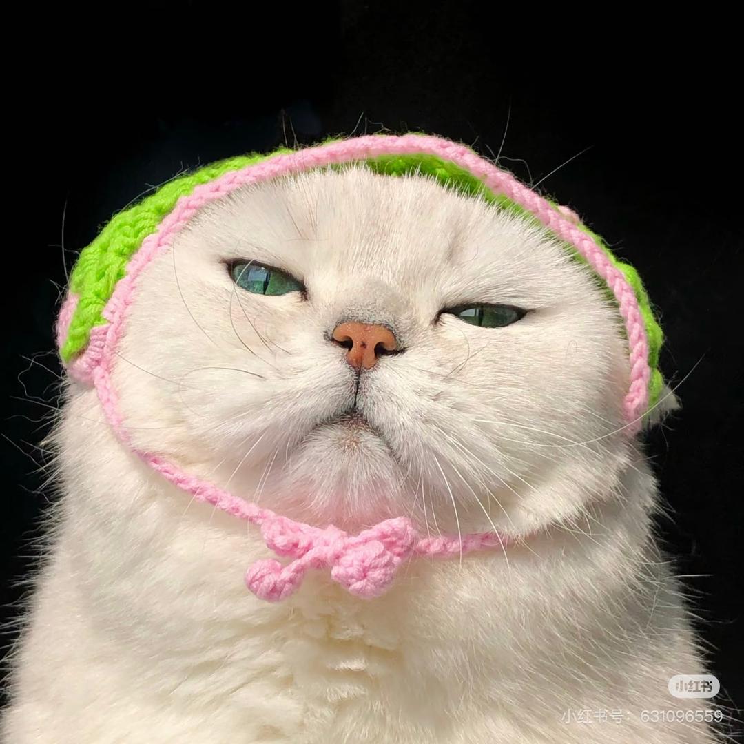 兔兔妈的日常带娃生活👩