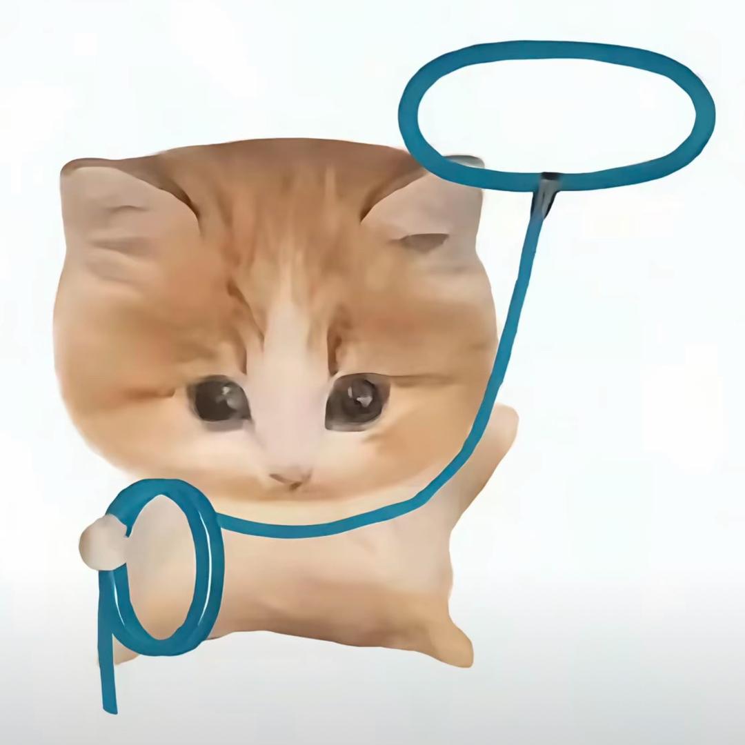wwwww