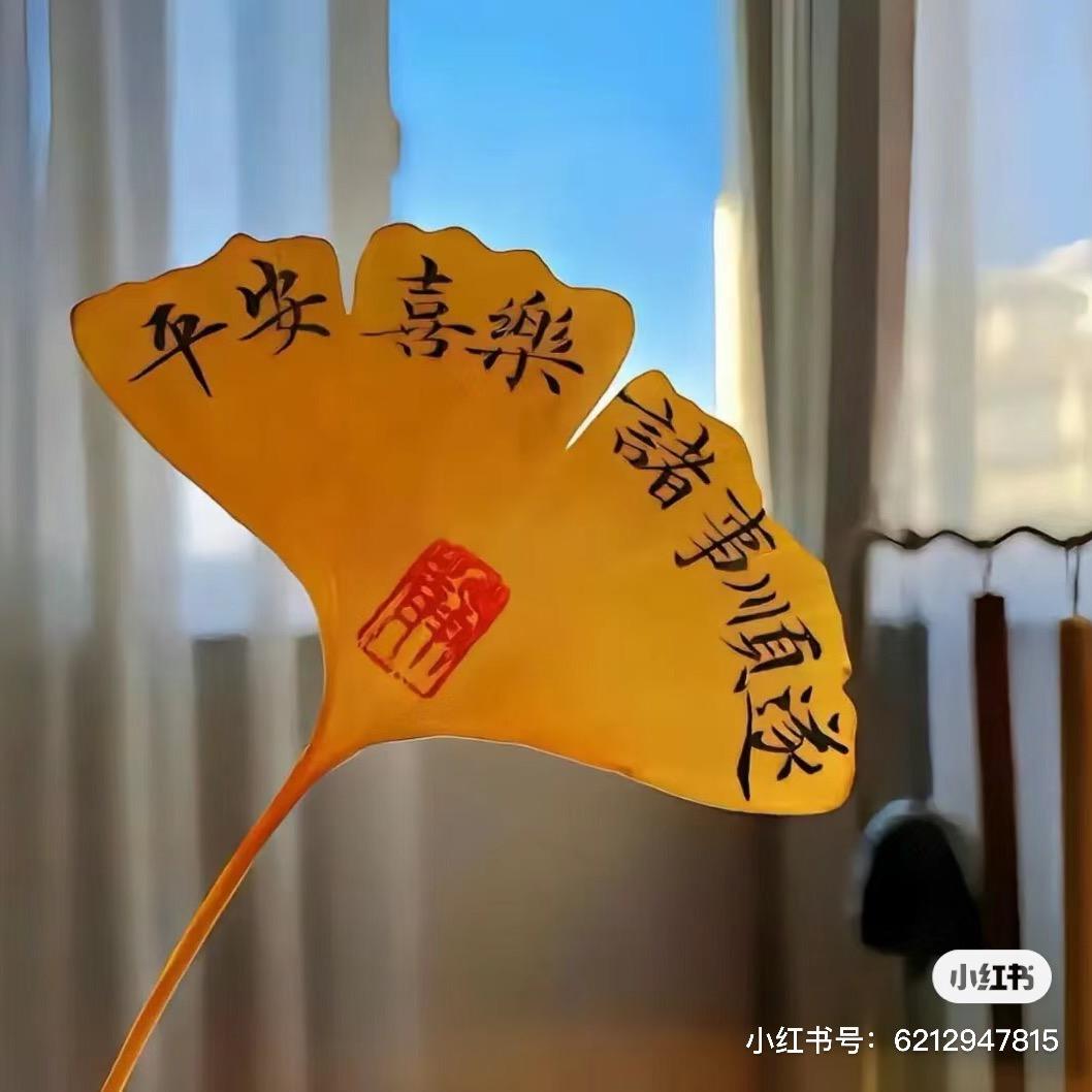 兜兜有米吖