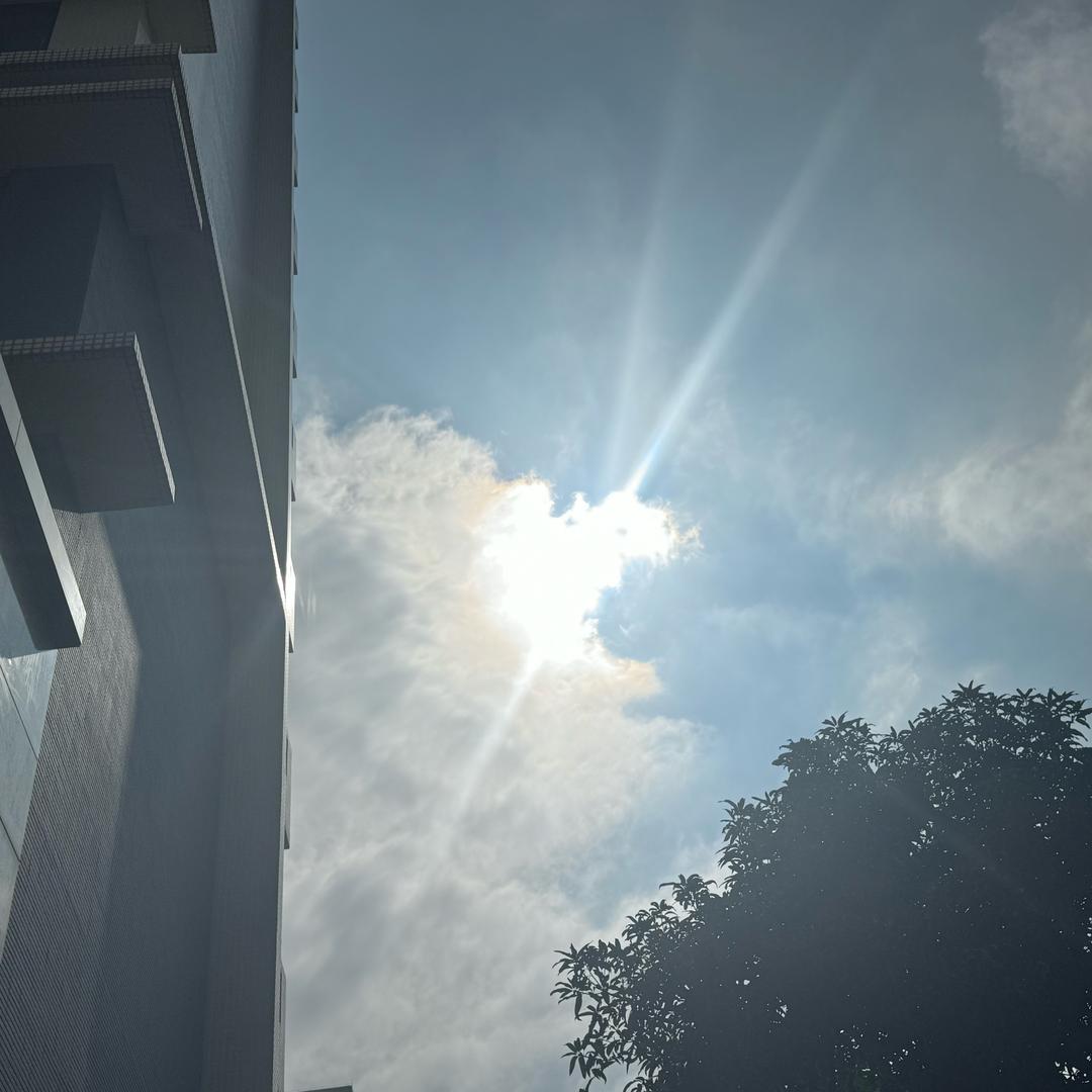 生如夏花241138317