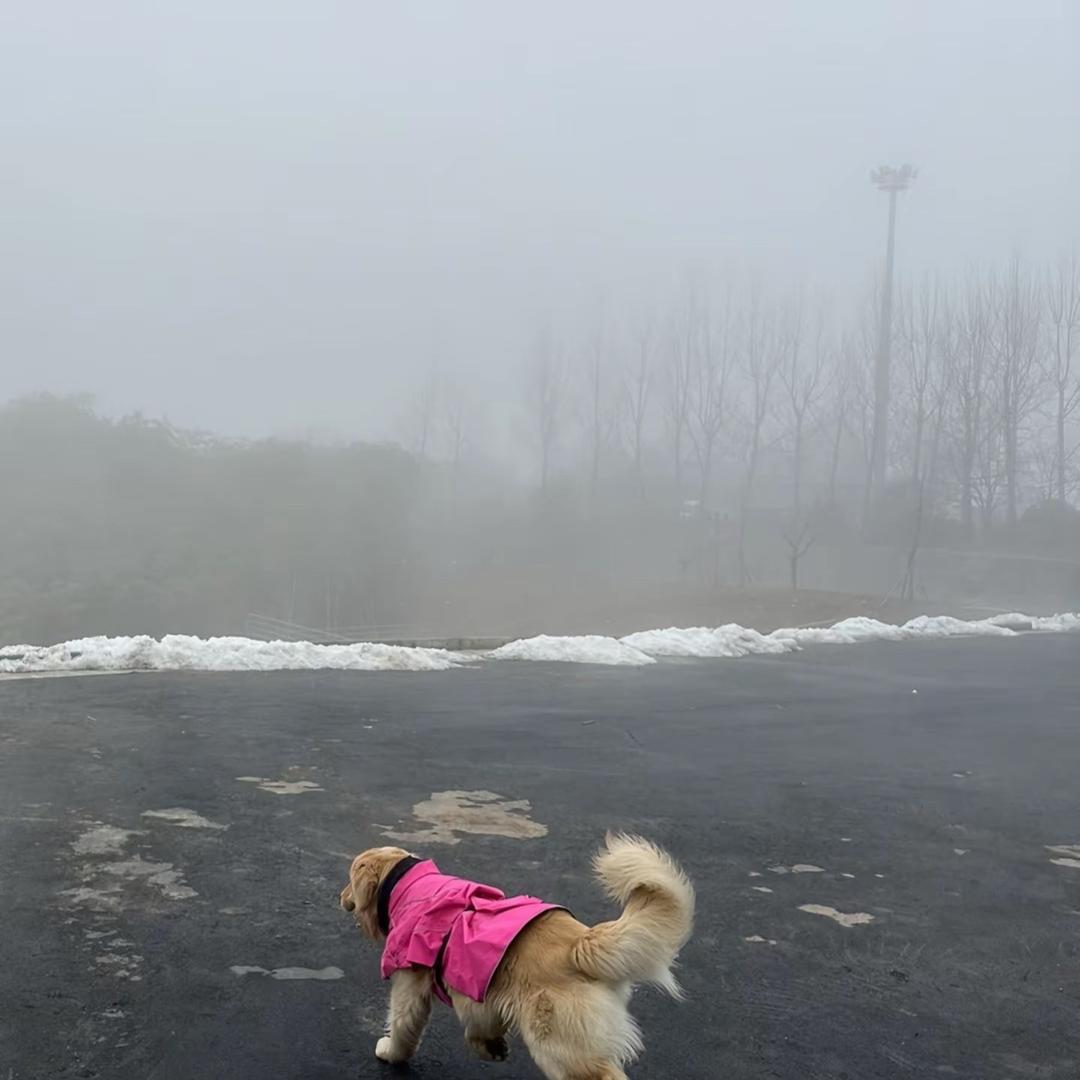 o_o