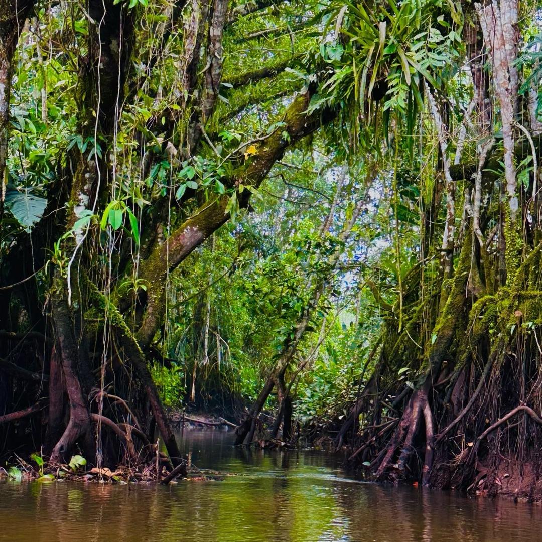 自然边界·生态造景