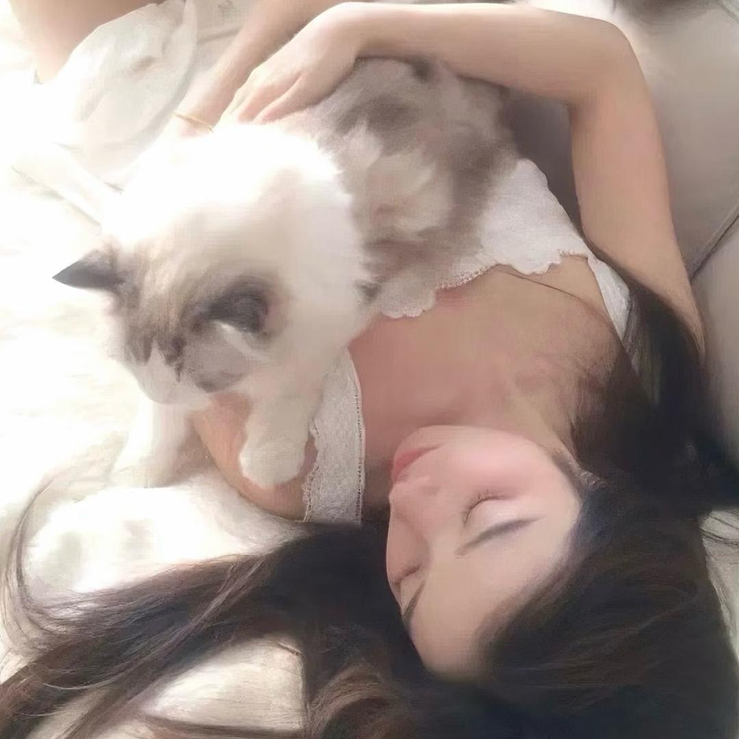 张佳琪•