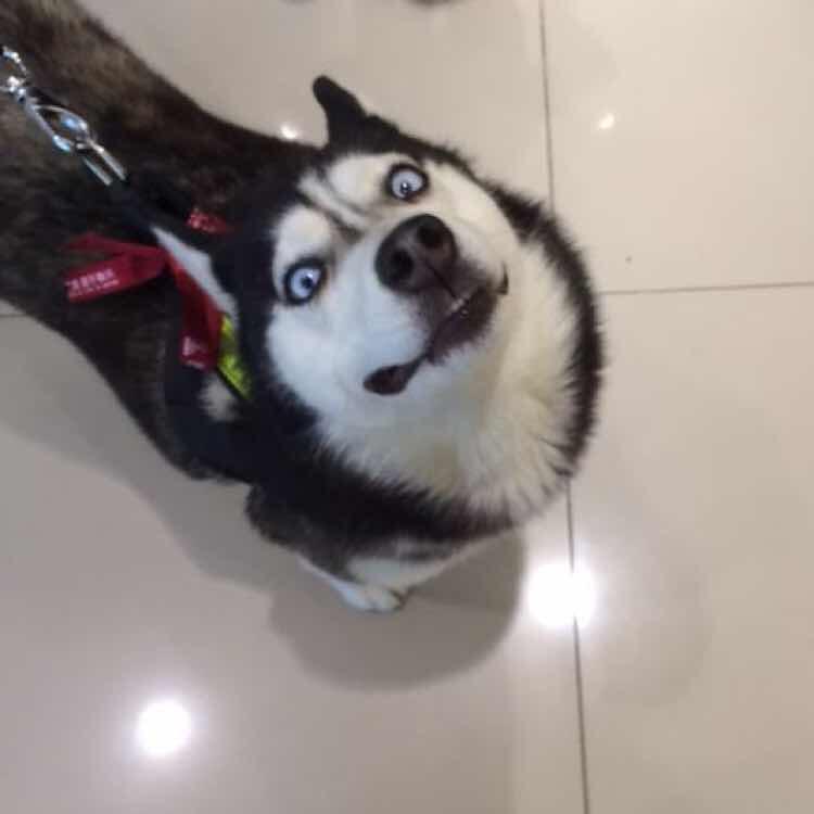 yi直就很懒