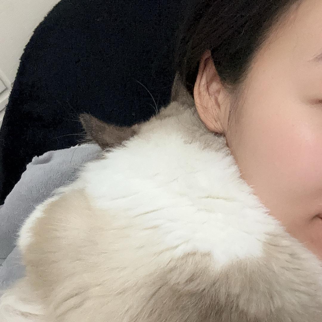 就吃一点点🤏