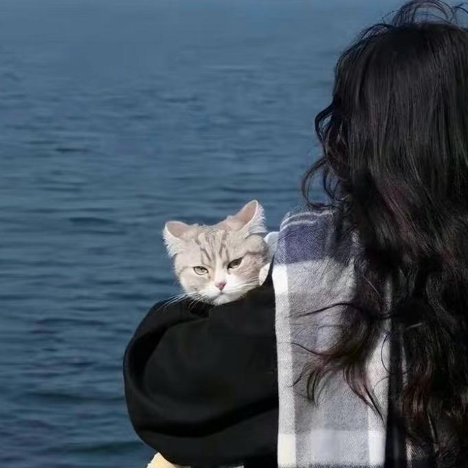 是小猪咪呀（关必回
