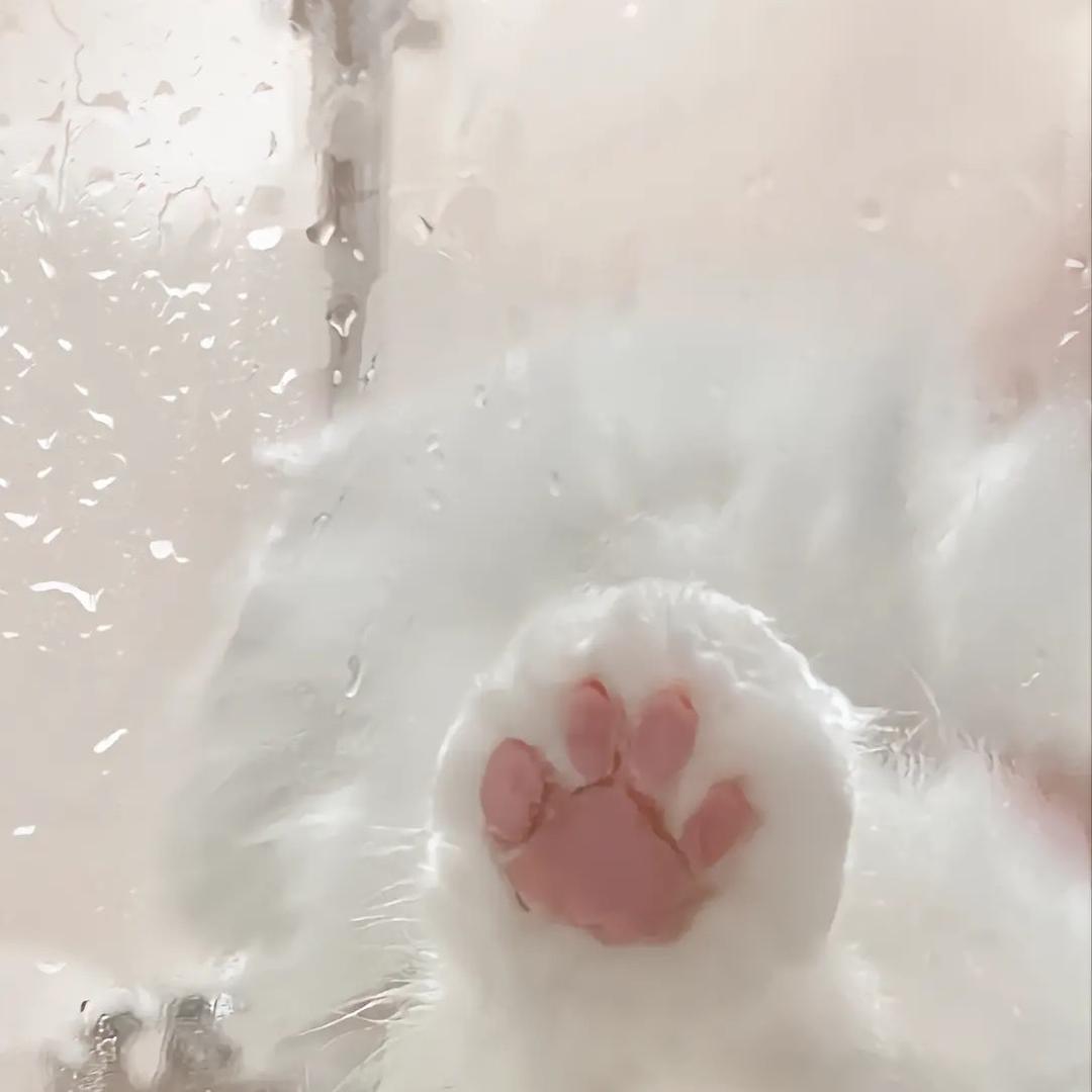 Cc
