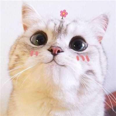 小左