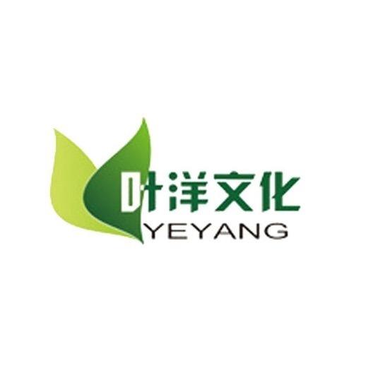 读典叶洋专卖店