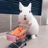 又是迷迷瞪瞪的一天