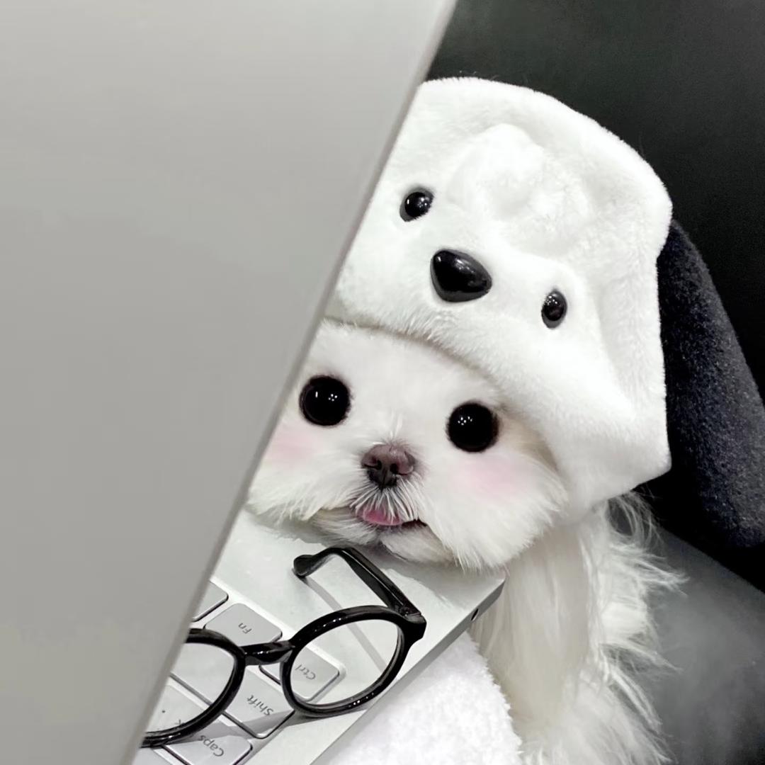 玛卡巴卡🤡