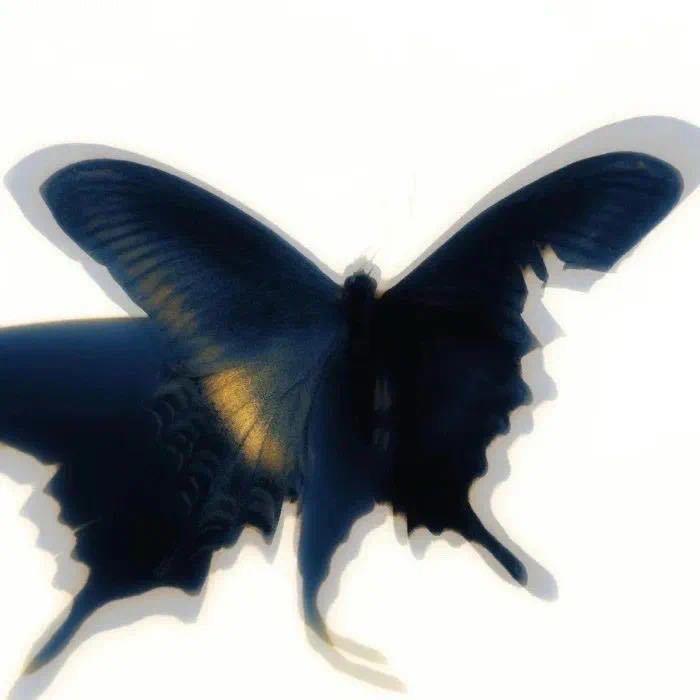 —