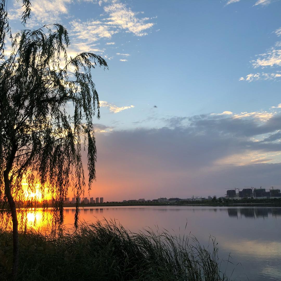 记录B圈的日常-