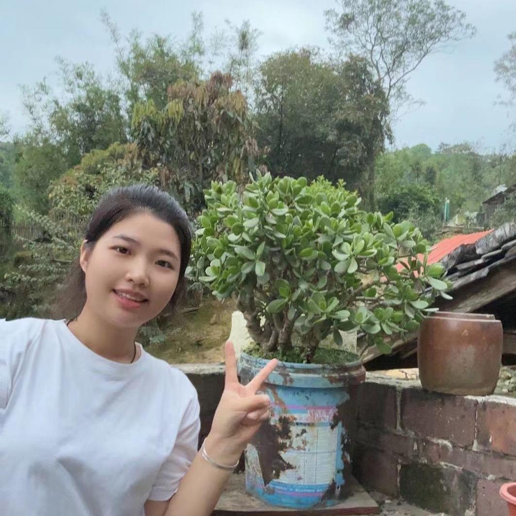 苍梧山心土水牛