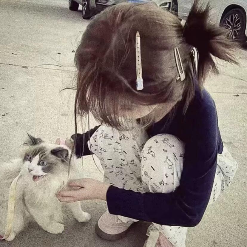 ❣️橘媂 （接宣传）