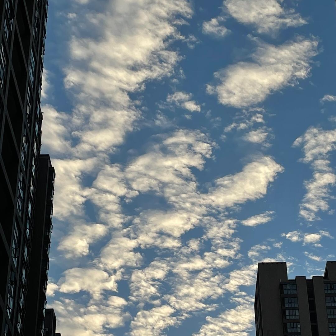 你好，明天。