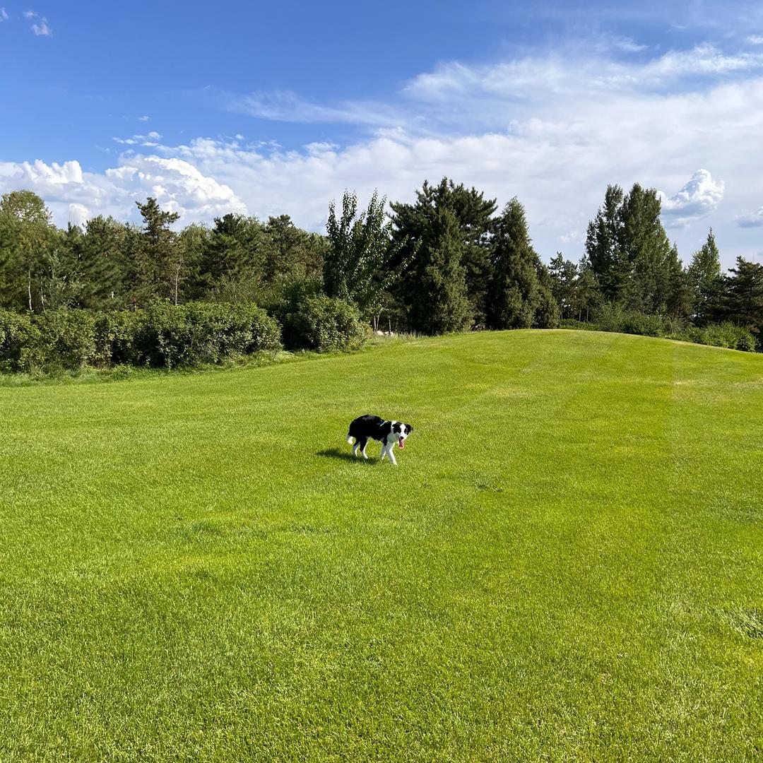 🩷🩵💚💛💜🧡❤️