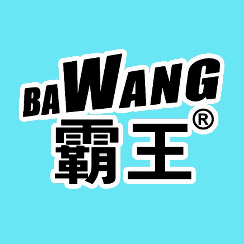 霸王家居清洁旗舰店