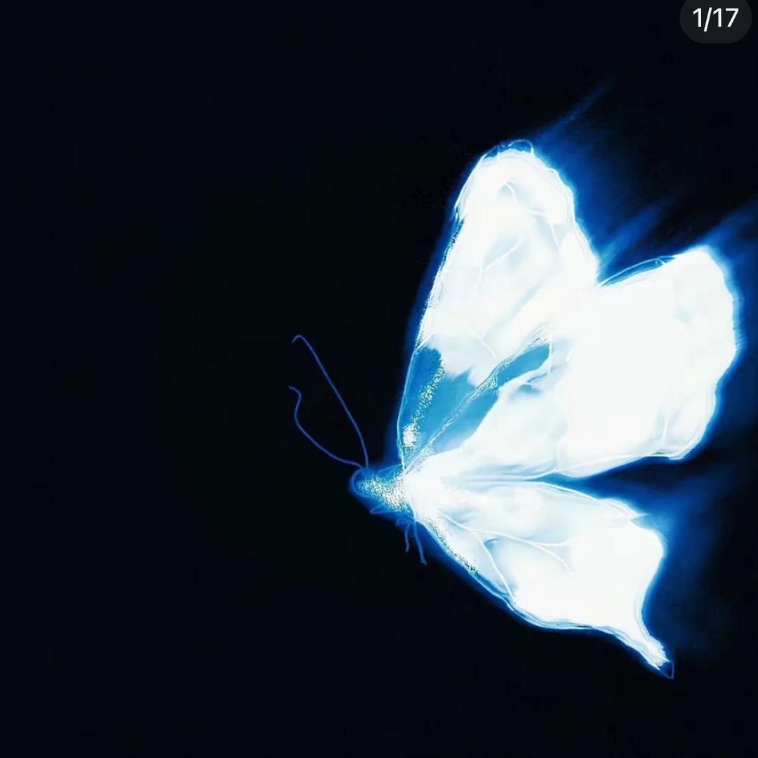 香璐菜籽