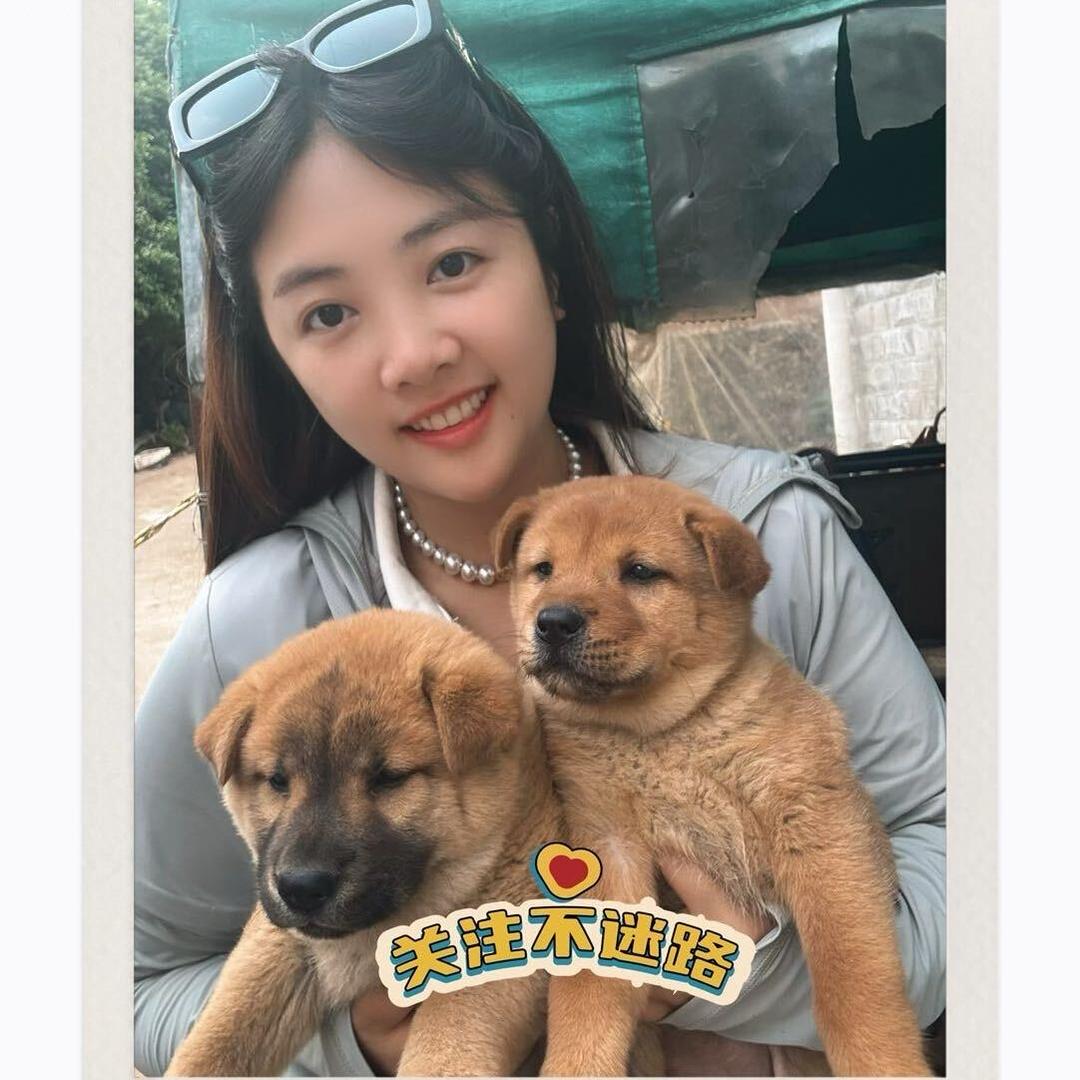 表姐带你看狗🐕