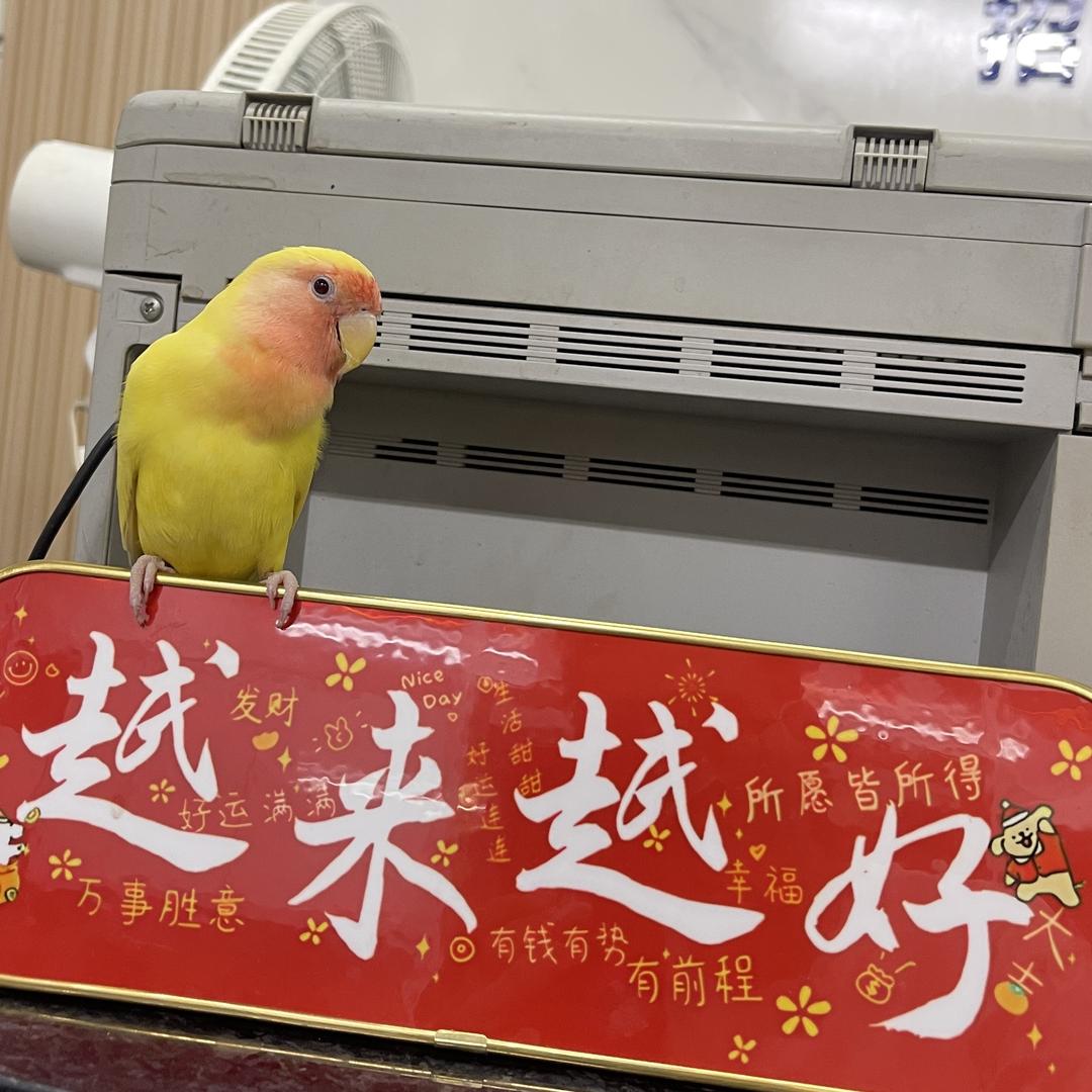 代步帮帮忙~专业年审