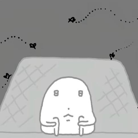 阿琳小铺🎄（约毛看主页