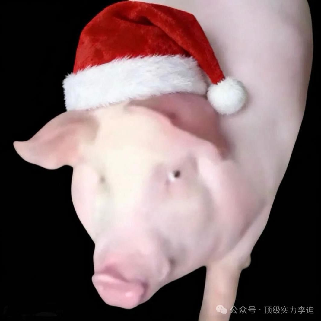 晴晴咪