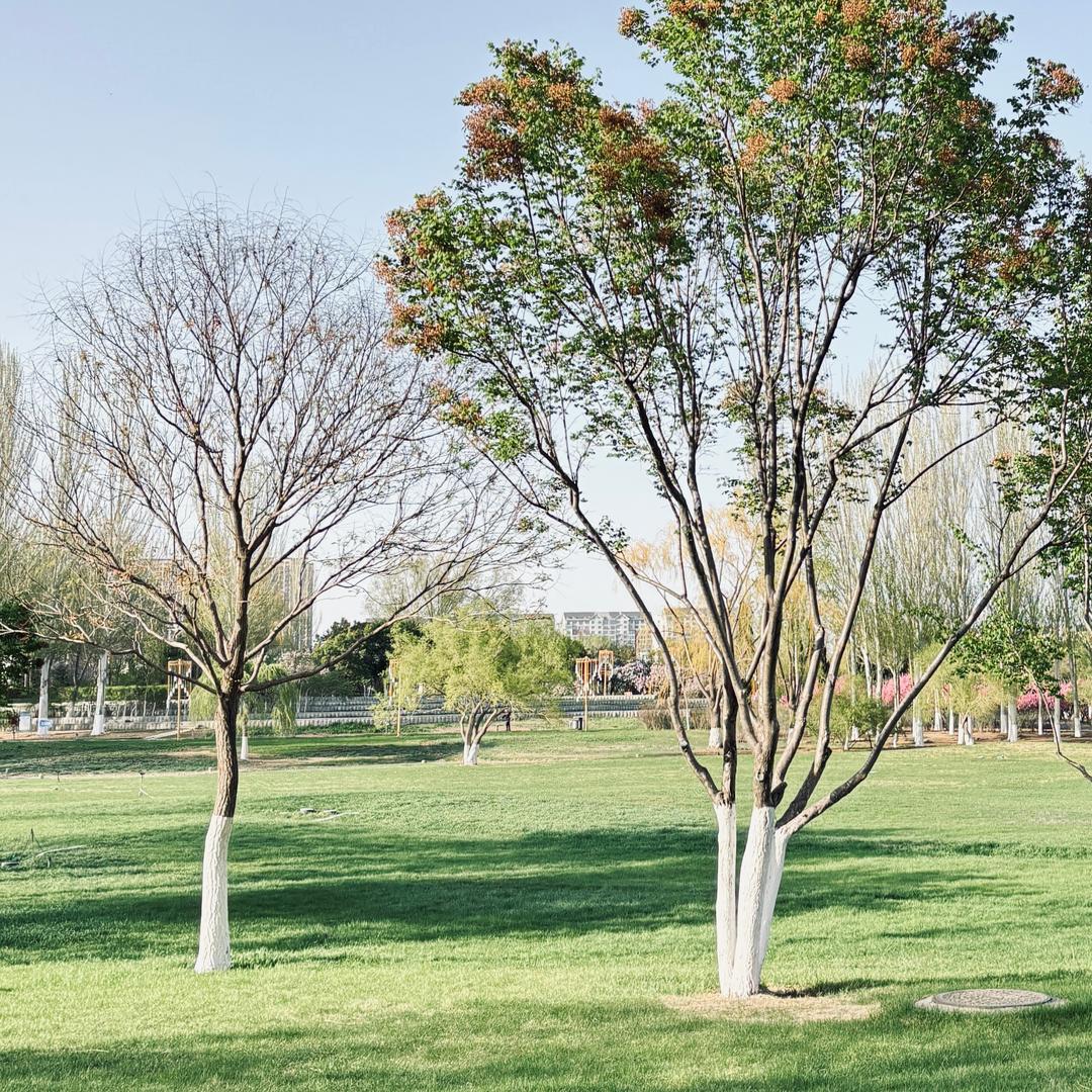 别管我超喜欢土豆