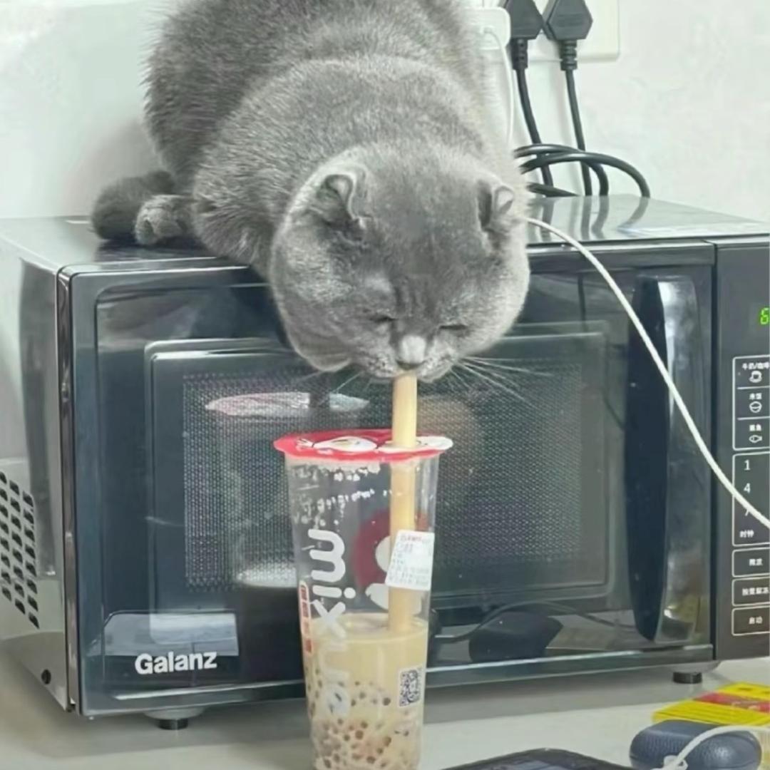 楠挽
