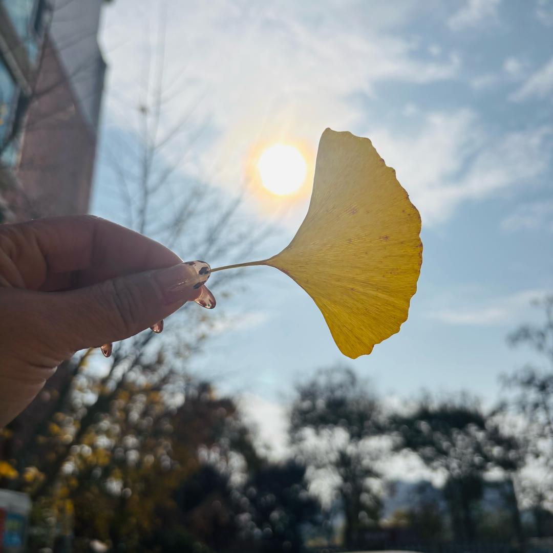 ༺公主請໊ཀྃ發財এ᭄