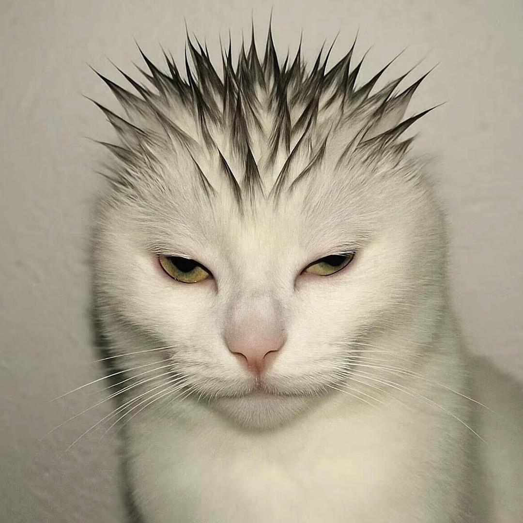 优