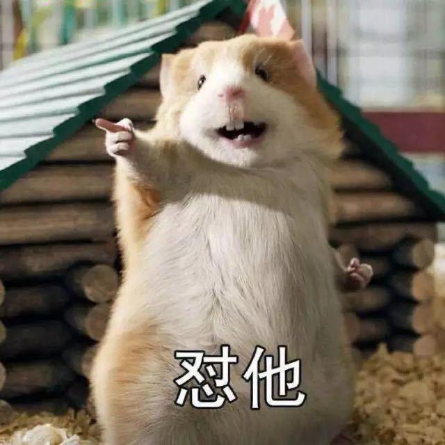 平凡之路